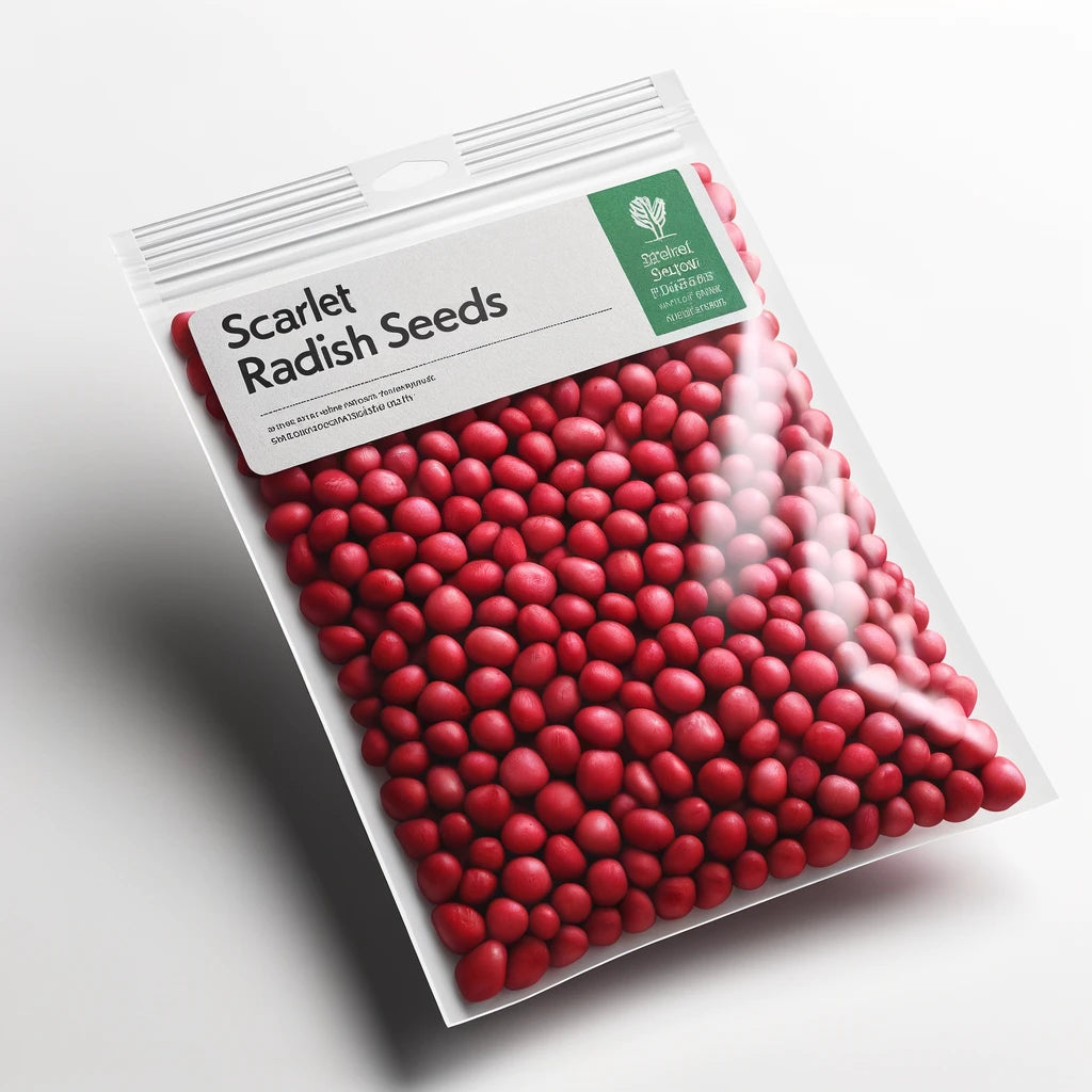 Scarlet Radish Seeds